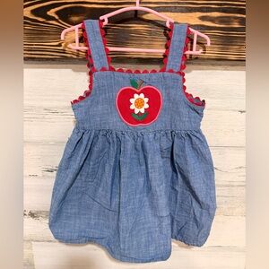 Gymboree Denim Blue Dress with Apple & Flower Design